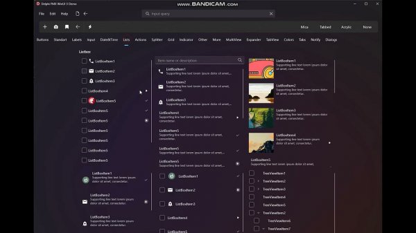 FMX Rad Studio WinUI 3.0