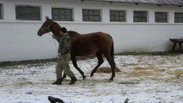 Галургия.m4v смотреть онлайн