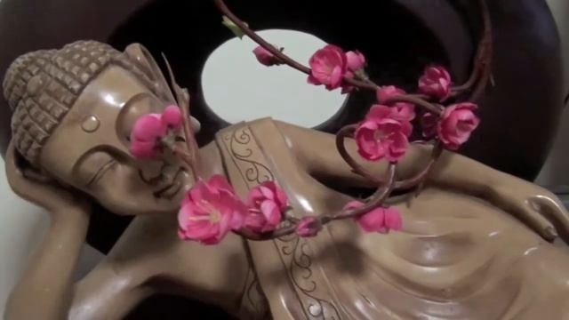 SONY HDR-CX100E HD Camera low light Indoor noise SONY HD Buddha смотреть онлайн