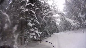 охота на снегоходе часть-2 Lynx 59 Yeti 600 ACE