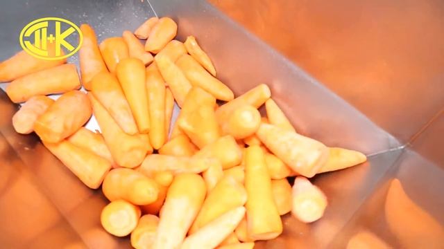 Измельчение моркови на волчке ДВАК В 160-01 смотреть онлайн