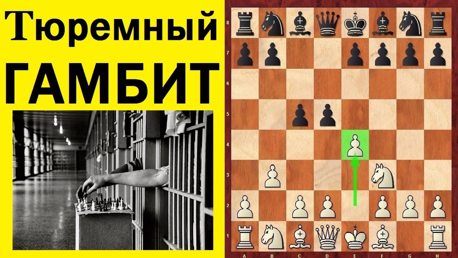 ТЮРЕМНЫЙ ГАМБИТ МАГНУСА КАРЛСЕНА.ДЕБЮТНАЯ ЛОВУШКА, КОТОРАЯ РАБОТАЕТ! смотреть онлайн