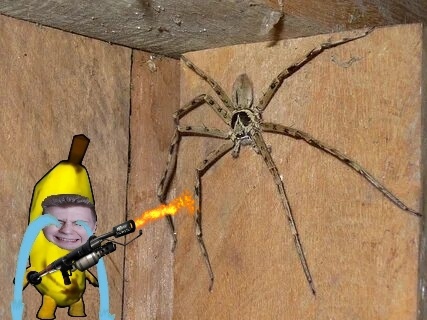 Играем в Kill it with fire