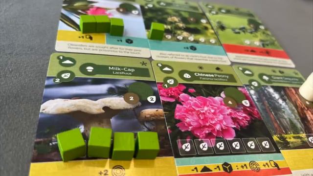 Earth Board Game Review 🌍