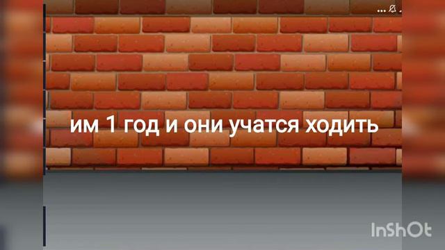 сериал жизнь в немецком снимке часть 1 прода не известно когда смотреть онлайн