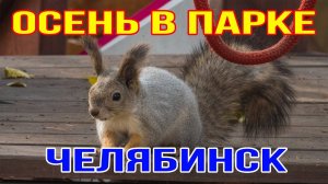 Осень в Парке культуры и отдыха имени Юрия Гагарина Челябинск 18 октября 2022 г