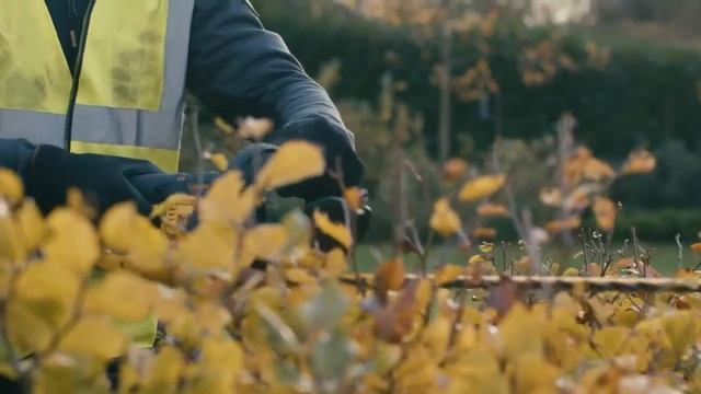 DeWALT DCMHT563N เลื่อยแต่พุ่มไร้สาย18V | หรือ20Vmax(เครื่องเปล่า ไม่รวมแบต ชาร์จ) รับประกันศูนย์3ป смотреть онлайн