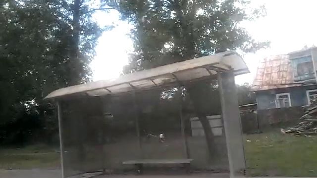 Автобус 484 "Кировский завод.- дер. Андреевка". смотреть онлайн