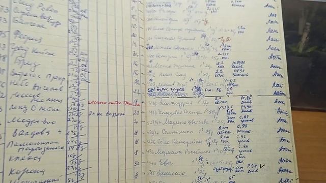 ОПЯТЬ ОБО МНЕ И МОЕЙ КОЛЛЕКЦИИ ГЛАДИОЛУСОВ. ЧАСТЬ 2. смотреть онлайн