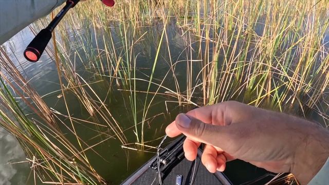 Flipping Lake Apopka During The MLF Toyota Series Tournament!! смотреть онлайн