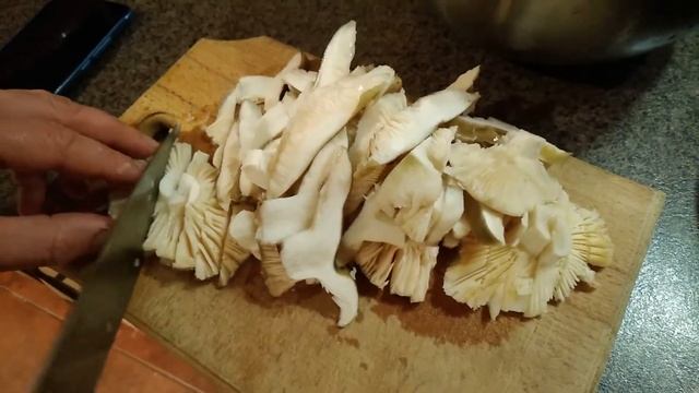 ЖАРИМ СЫРОЕЖКИ  #грибы #тихаяохота #грибники #блюда #грибывкиевскойобласти #грибивкиївськійобласті