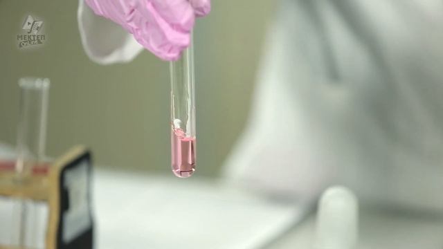 Лабораторная работа №13. Свойства азотной кислоты. 9 класс. смотреть онлайн