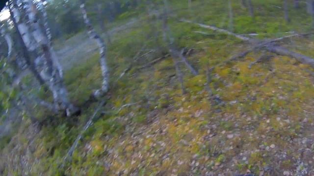 Путешествие Старинное озеро 4 Minelab CTX 3030 смотреть онлайн