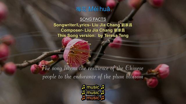 Teresa Teng- 梅花. Mei Hua. Plum Blossom. With Eng/pinyin Lyrics