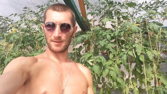 Гидропоника.Контроль Над Растениями.Принцып Действия смотреть онлайн