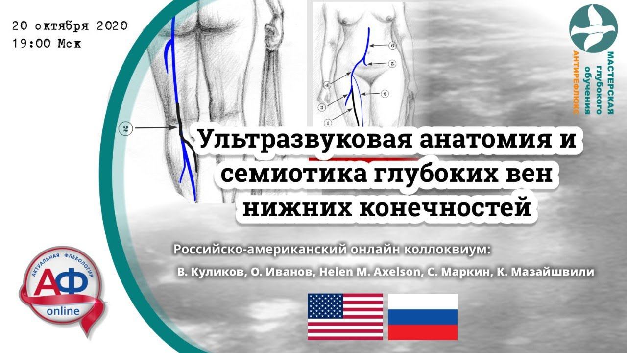 Ультразвуковая анатомия и семиотика глубоких вен нижних конечностей смотреть онлайн