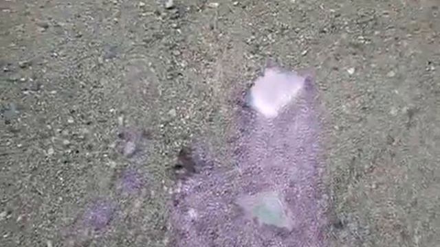 MOV00047.mp4 смотреть онлайн