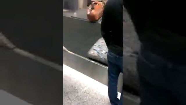 Багажная лента в новом терминале Пулково-1 смотреть онлайн