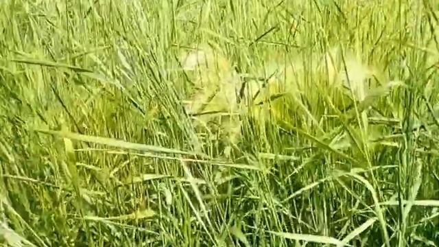 Движение–жизнь | Почему мы стоим на одном месте и не развиваемся? смотреть онлайн