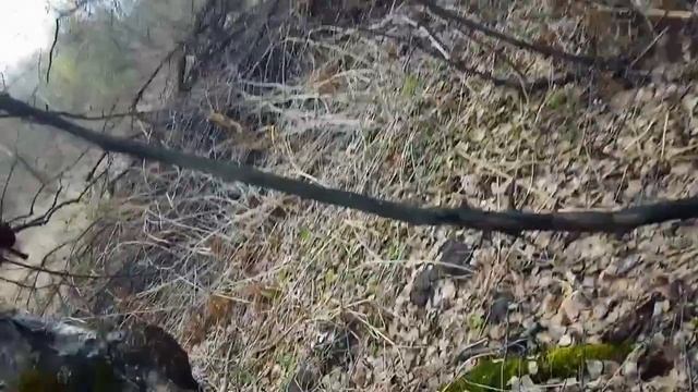 кап березовый смотреть онлайн