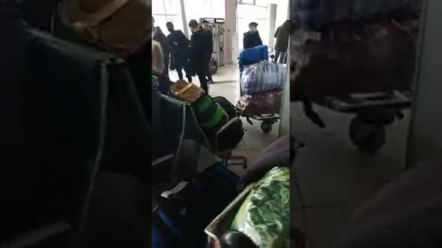Граждане Кыргызстана застряли в аэропорту Новосибирска смотреть онлайн