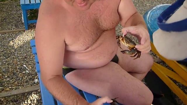 Крабы и рапаны в Сочи. смотреть онлайн