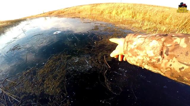 VLOG: ПЕРВЫЙ ЛЁД. КАТАЕМСЯ НА КОНЬКАХ. смотреть онлайн