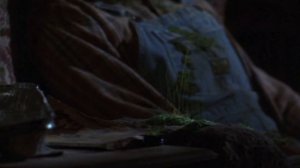 Криповая хренатень: Сорняк, заражающий людей (Стивен Кинг)