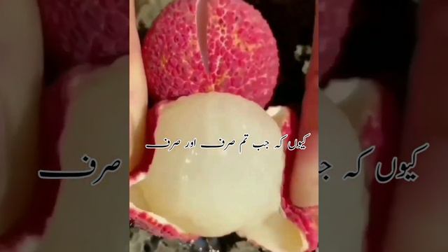 kasrat se Sajda karna 🕋🧕 #shortvideo #viral #sajda смотреть онлайн