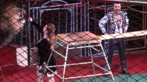 Circus. Tigers and lions. part 1. Цирк. Тигры и львы. 1 часть.