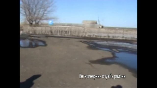 Щербакты. Павлодарская область. Навоз. смотреть онлайн