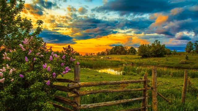 Вечерняя зорька в деревни ( Сергей Лемешев.Одинокая гармонь) смотреть онлайн