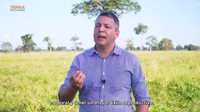 Cómo lidiar con los desafíos de la etapa de cría - Fazenda Camparino en colaboración con Adisseo смотреть онлайн