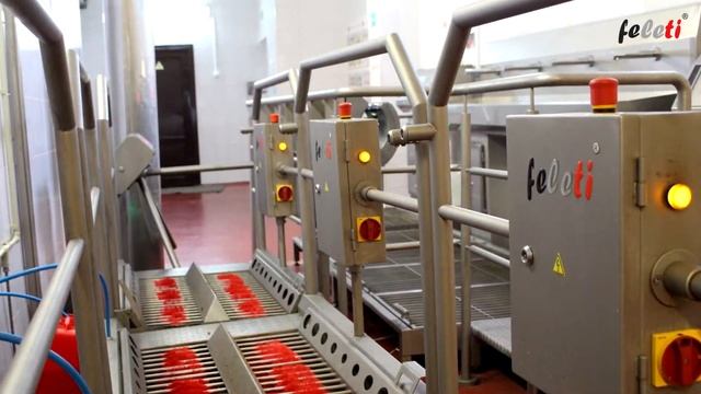 Санпропускник / Станция гигиены обуви проходная СНП-2/900 / FELETI ® смотреть онлайн