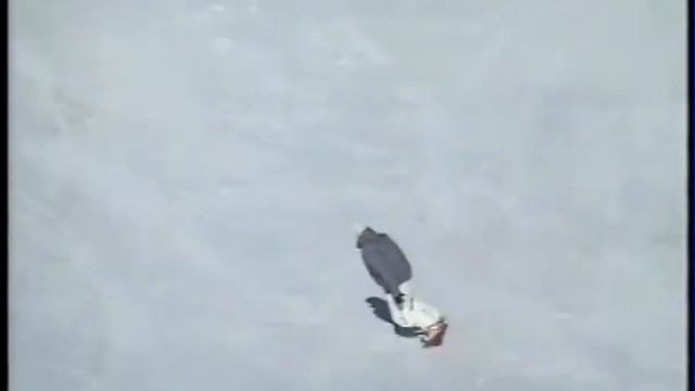 Простые Движения I смотреть онлайн