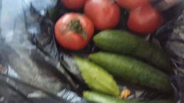 Будут гости и готовлю подлив из каштанчиков и плов смотреть онлайн