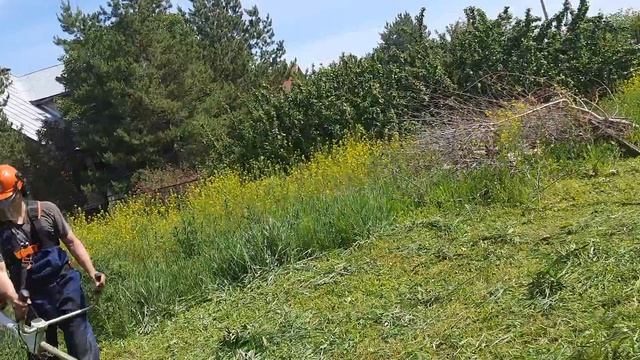 Stihl fs 561 в деле. смотреть онлайн