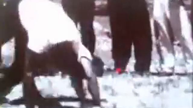 Capoeira Angola 1963 Mestre Pasthina смотреть онлайн