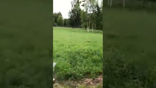 Защита от пчел - комплект Телохранитель смотреть онлайн