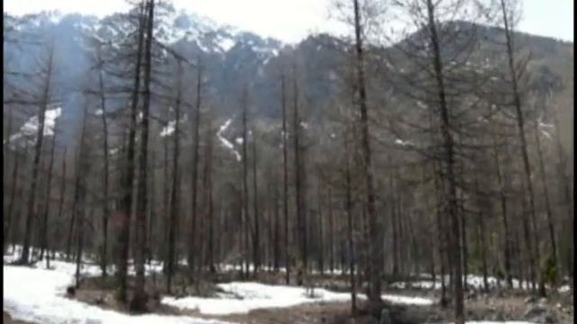 Горный Алтай. Дорога на Актру. Поход на ледник. Весна 2009. Altai Mountains. Aktru. Spring 2009. смотреть онлайн