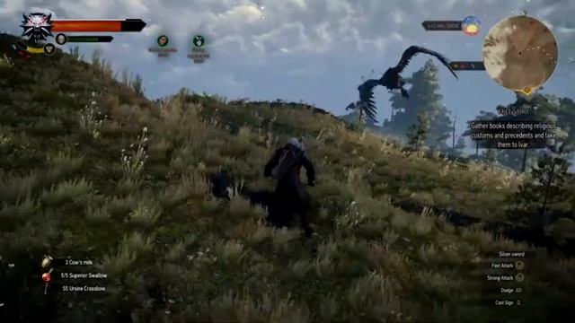 Witcher 3: Wild Hunt. Hidden lvl 48 Arch Griffin смотреть онлайн