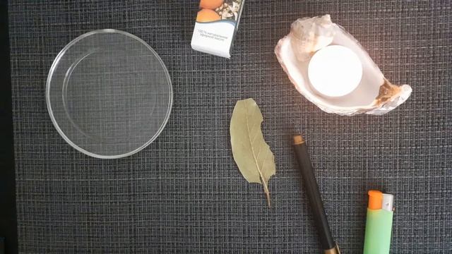 Лавровый лист для привлечения денег. Простой и эффективный ритуал