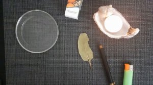 Лавровый лист для привлечения денег. Простой и эффективный ритуал