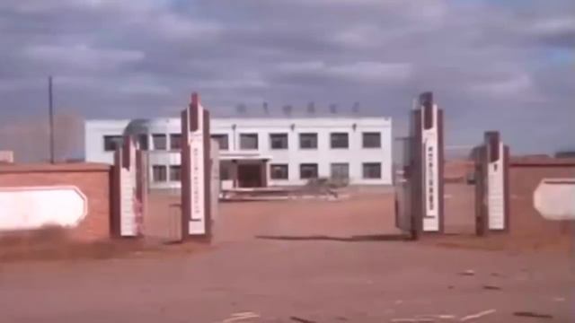 Сосна и ель стоят в одном ряду... смотреть онлайн