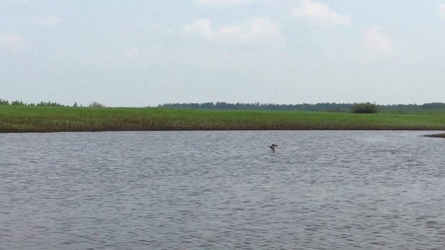 Рыбалка 11.07.2020 смотреть онлайн