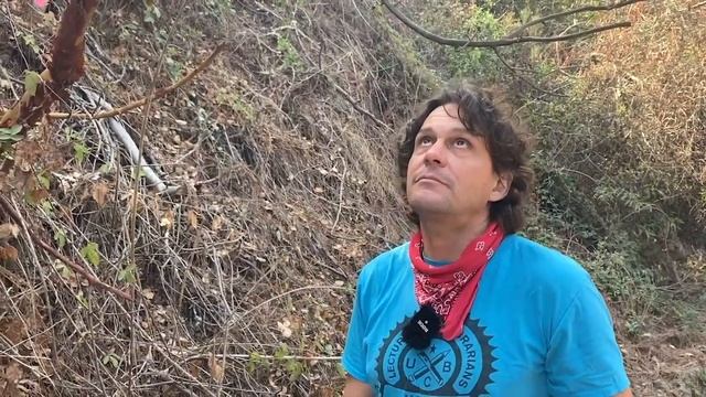 Arbutus Menziesii, Ericaceae