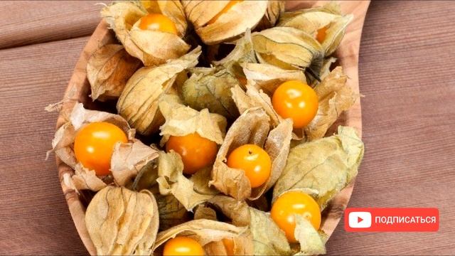 ФИЗАЛИС спасет от КАМНЕЙ в ПОЧКАХ /камни в почках /физалис овощной / камни в почках лечение смотреть онлайн