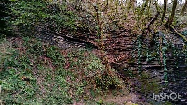 Водопад Райское Наслаждение в Лоо, самое романтическое место Большого Сочи#сочинцы #sochi2022#лоо