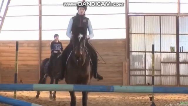 {{Тoп 5 самых красивых лoшадей на планете}} смотреть онлайн