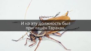 Притча о трудолюбивом муравье. Прямо как в жизни.